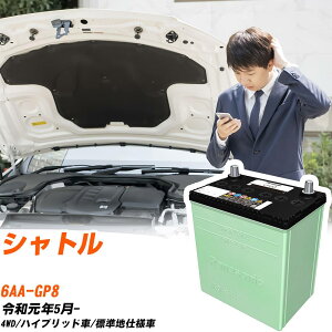 �z���_ �V���g�� �Ή� �o�b�e���[ GP8 R1/5- �W���n�d�l �J�[�o�b�e���[ �p�i�\�j�b�N �T�[�N�� �� N-40B19L/CR �yH04006�z