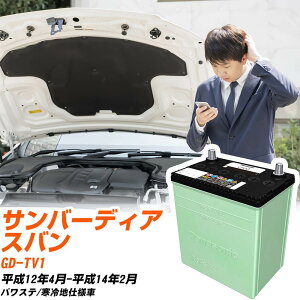 Xo To[fBAXo Ή obe[ TV1 H12/4-H14/2 ndl J[obe[ pi\jbN T[N  N-40B19L/CR yH04006z