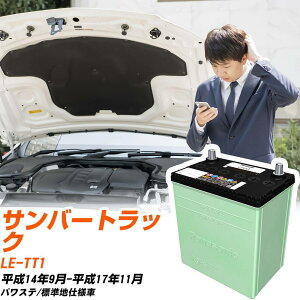 �X�o�� �T���o�[�g���b�N �Ή� �o�b�e���[ TT1 H14/9-H17/11 �W���n�d�l �J�[�o�b�e���[ �p�i�\�j�b�N �T�[�N�� �� N-40B19L/CR �yH04006�z