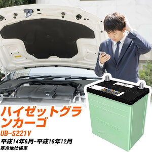 �_�C�n�c �n�C�[�b�g�O�����J�[�S �Ή� �o�b�e���[ S221V H14/6-H16/12 ����n�d�l �J�[�o�b�e���[ �p�i�\�j�b�N �T�[�N�� �� N-46B19L/CR �yH04006�z