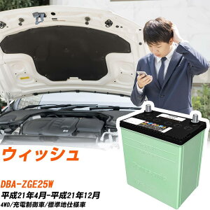 �g���^ �E�B�b�V�� �Ή� �o�b�e���[ ZGE25W H21/4-H21/12 �W���n�d�l �J�[�o�b�e���[ �p�i�\�j�b�N �T�[�N�� �� N-46B19L/CR �yH04006�z
