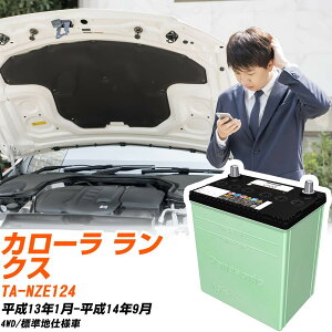�g���^ �J���[�� �����N�X �Ή� �o�b�e���[ NZE124 H13/1-H14/9 �W���n�d�l �J�[�o�b�e���[ �p�i�\�j�b�N �T�[�N�� �� N-46B19L/CR �yH04006�z