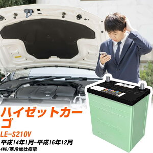 �_�C�n�c �n�C�[�b�g�J�[�S �Ή� �o�b�e���[ S210V H14/1-H16/12 ����n�d�l �J�[�o�b�e���[ �p�i�\�j�b�N �T�[�N�� �� N-46B19L/CR �yH04006�z