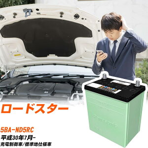 �}�c�_ ���[�h�X�^�[ �Ή� �o�b�e���[ ND5RC H30/7- �W���n�d�l �J�[�o�b�e���[ �p�i�\�j�b�N �T�[�N�� �� N-60B24L/CR �yH04006�z