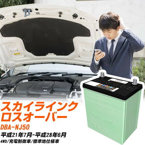 ���Y �X�J�C���C���N���X�I�[�o�[ �Ή� �o�b�e���[ NJ50 H21/7-H28/6 �W���n�d�l �J�[�o�b�e���[ �p�i�\�j�b�N �T�[�N�� �� N-80D23L/CR �yH04006�z