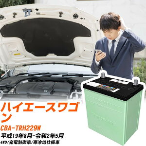 g^ nCG[XS Ή obe[ TRH229W H19/8-R2/5 ndl J[obe[ pi\jbN T[N  N-90D26R/CR yH04006z