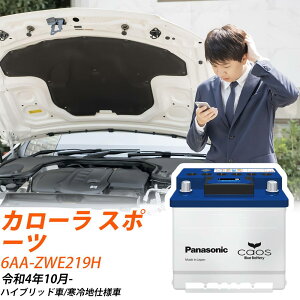 �g���^ �J���[�� �X�|�[�c ZWE219H R4/10- ����n�d�l�� �o�b�e���[ �� �p�i�\�j�b�N EN�V���[�Y N-355LN1/EN �yH04006�z