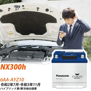 NTX NX300h AYZ10 R2/7-R3/11 ndl obe[  pi\jbN ENV[Y N-370LN2/EN yH04006z