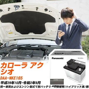 �g���^ �J���[�� �A�N�V�I NKE165 H29/10-R2/9 �W���n�d�l�� �o�b�e���[ �� �p�i�\�j�b�N PA�V���[�Y N-340LN0/PA �yH04006�z