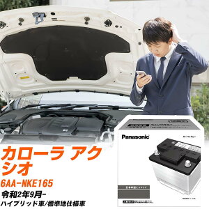 �g���^ �J���[�� �A�N�V�I NKE165 R2/9- �W���n�d�l�� �o�b�e���[ �� �p�i�\�j�b�N PA�V���[�Y N-340LN0/PA �yH04006�z