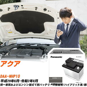 g^ ANA NHP10 H29/6-R2/8 Wndl obe[  pi\jbN PAV[Y N-340LN0/PA yH04006z