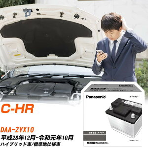 g^ C-HR ZYX10 H28/12-R1/10 Wndl obe[  pi\jbN PAV[Y N-350LN1/PA yH04006z