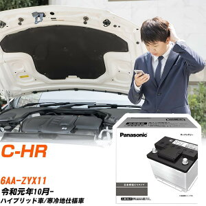 g^ C-HR ZYX11 R1/10- ndl obe[  pi\jbN PAV[Y N-350LN1/PA yH04006z