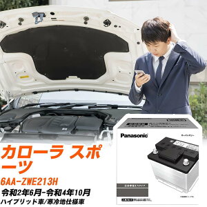 g^ J[ X|[c ZWE213H R2/6-R4/10 ndl obe[  pi\jbN PAV[Y N-350LN1/PA yH04006z