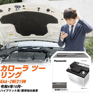 g^ J[ c[O ZWE219W R4/10- Wndl obe[  pi\jbN PAV[Y N-350LN1/PA yH04006z