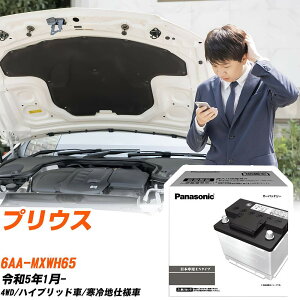 g^ vEX MXWH65 R5/1- ndl obe[  pi\jbN PAV[Y N-350LN1/PA yH04006z