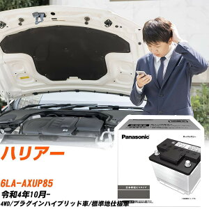 g^ nA[ AXUP85 R4/10- Wndl obe[  pi\jbN PAV[Y N-370LN2/PA yH04006z