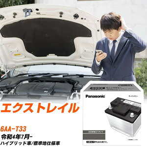 ���Y �G�N�X�g���C�� T33 R4/7- �W���n�d�l�� �o�b�e���[ �� �p�i�\�j�b�N PA�V���[�Y N-370LN2/PA �yH04006�z