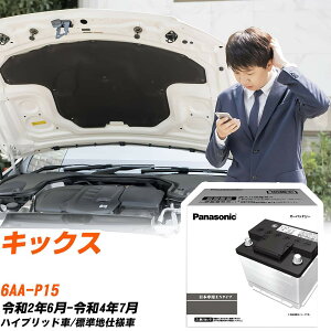 Y LbNX P15 R2/6-R4/7 Wndl obe[  pi\jbN PAV[Y N-370LN2/PA yH04006z