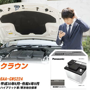 g^ NE GWS224 H30/6-R4/9 ndl obe[  pi\jbN PAV[Y N-370LN2/PA yH04006z