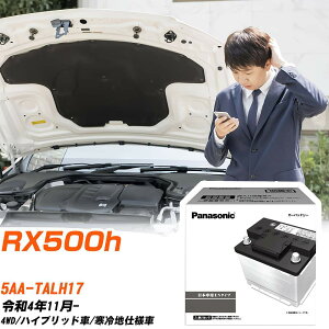 ���N�T�X RX500h TALH17 R4/11- ����n�d�l�� �o�b�e���[ �� �p�i�\�j�b�N PA�V���[�Y N-380LN3/PA �yH04006�z