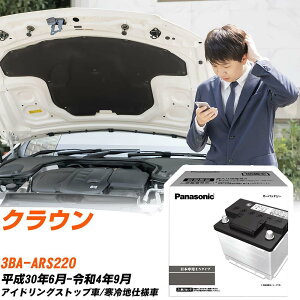 トヨタ クラウン ARS220 H30/6-R4/9 寒冷地仕様車 バッテリー 車 パナソニック PAシリーズ N-390LN3S/PA 【H04006】