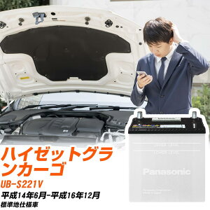 �_�C�n�c �n�C�[�b�g�O�����J�[�S �o�b�e���[ S221V H14/6-H16/12 �W���n�d�l�� �J�[�o�b�e���[ �p�i�\�j�b�N�� N-40B19L/SB �J�[�p�i ���� �����e�i���X �yH04006�z