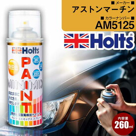 アストンマーチン AM5125 MARRONBLACK 車 キズ消し ペイントスプレー 1本 Holts ホルツ MINIMIX カーペイント オーダーカラー 【TU＆SP】(スプレー)