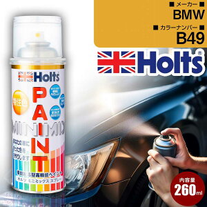 BMW B49 ICEDCHOCOLATEMET �� �L�Y���� �y�C���g�X�v���[ 1�{ Holts �z���c MINIMIX �J�[�y�C���g �I�[�_�[�J���[ �yTU��SP�z(�X�v���[)