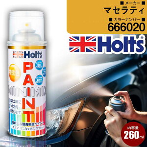 �}�Z���e�B 666020 VERDEMEXICO �� �L�Y���� �y�C���g�X�v���[ 1�{ Holts �z���c MINIMIX �J�[�y�C���g �I�[�_�[�J���[ �yTU��SP�z(�X�v���[)