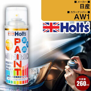 ���Y AW1 �X�p�C�X���b�h2PM �� �L�Y���� �y�C���g�X�v���[ 1�{ Holts �z���c MINIMIX �J�[�y�C���g �I�[�_�[�J���[ �yTU��SP�z(�X�v���[)