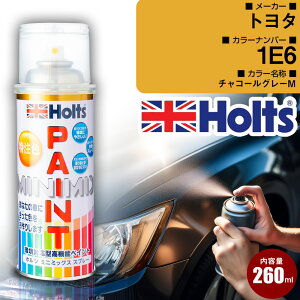 g^ 1E6 `R[O[M  LY yCgXv[ 1{ Holts zc MINIMIX J[yCg I[_[J[ yTUSPz(Xv[)