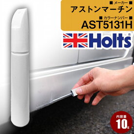 アストンマーチン AST5131H SILVERFOX 車 キズ消し タッチアップペン1本 Holts ホルツ MINIMIX 筆・ペンタイプ【TU＆SP】(ペン10g)