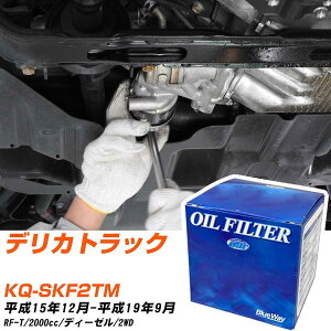 �I�C���t�B���^�[ BlueWay �O�H �f���J�g���b�N KQ-SKF2TM ����15�N12��-����19�N9�� RF-T �p�V�t�B�b�N�H�� PX3502 �I�C���G�������g �yH10ZKN�z