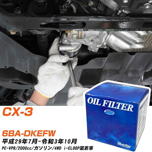 ICtB^[ BlueWay }c_ CX-3 6BA-DKEFW H29.7-R3.10 PE-VPR pVtBbNH PX8501 ICGg 1_ yH10ZKNz