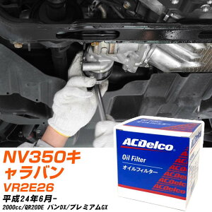 ICtB^[ ACfR Y NV350Lo VR2E26 H24.6- QR20DE PF307J ICGg y10_z yH04006z