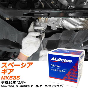 ICtB^[ ACfR XYL Xy[VAMA MK53S H30.12- R06A(T) PF315J ICGg 1_ yH10ZKNz