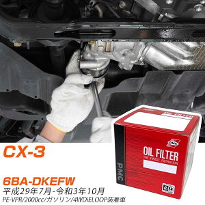 ICtB^[ PMC pVtBbNH }c_ CX-3 6BA-DKEFW H29.7-R3.10 PE-VPR PO8501 ICGg 1_ yH04006z