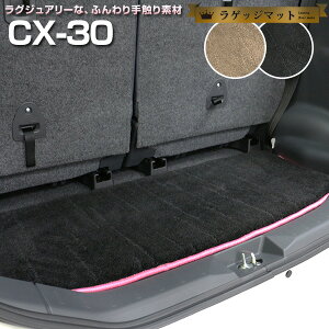 CX-30@gN}bg ݊ p[c gNtA}bg J[}bg QbW}bg ׎ gNXy[X QbWXy[X h~ On  ubN x[W ACe