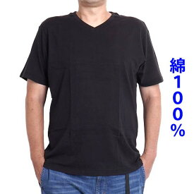 大きいサイズ メンズ tシャツ 半袖 Vネック 綿100％ ゆったり 無地 2L 3L 4L 5L 6L インナー 春夏 秋冬 白 黒 チャコ 送料無料 9860-0100