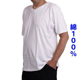 大きいサイズ メンズ tシャツ 半袖 Vネック 綿100％ ゆったり 無地 2L 3L 4L 5L 6L インナー 春夏 秋冬 白 黒 チャコ 送料無料 9860-0100