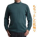 ハイネック メンズ 長袖 tシャツ 裏起毛 ゴルフウェア メンズ 秋冬 長袖 防寒着 タートルネック インナー ロンt ストレッチ シニア メンズ 50代 60代 70代 80代 ゆったり 男性 紳士 防寒 敬老の日