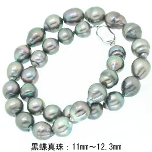 ^lbNX 11.0mm~12.3mm