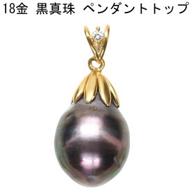 【スーパーSALE】 黒真珠の18金ペンダントトップ