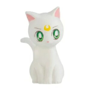 uAe~Xv  mZ[[[Eternal nORbg4 Piy݌ɕiz