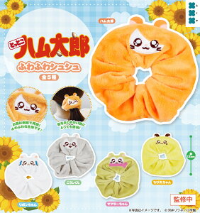 ƂƂnY ӂӂVV S5Zbg y2026N3\/Rv[gz