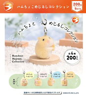ハムちょこめじるしコレクション 全4種セット 【2026年9月予約/コンプリート】