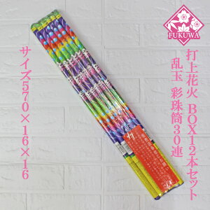 ŏ ԉ (ʎ쓛 30A 12{Zbg) ʉԉ Aŏ ԉ Aԉ 