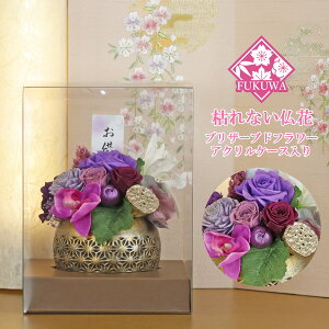 vU[uht[   (Tt ~̂~ p[v ZY5014-017-462) 䋟  ~ ފ @v @  l\  a uU[uht[