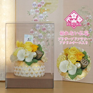 vU[uht[   (Tt ~̂~ CG[ ZY5014-004-463) 䋟  ~ ފ @v @  l\  a uU[uht[
